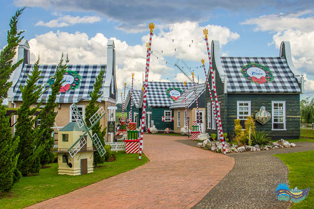 COLÔNIAS PARANAENSES – UCRANIANA, HOLANDESA E ALEMÃ- 9 DIAS